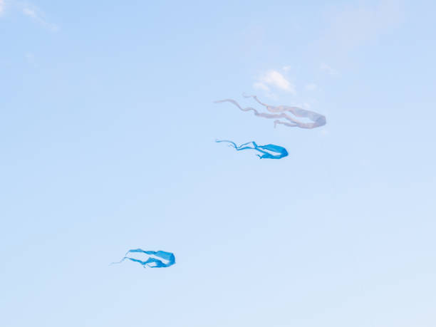 istock Kite Festival. Kites in the sky. A spectacle . Wind is like a force. air objects. Various forms. A beautiful sight.  Aerodynamics. Object in the sky 1649718435