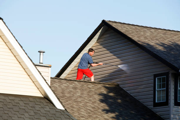 человек моет сайдинг на своем доме с шайбой давления - siding house plastic roof стоковые фото и изображения