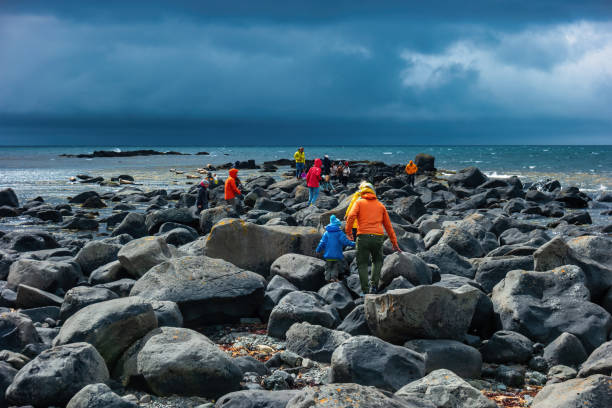 People hike to see seals at Ytri Tunga Beach on Snaefellsnes Peninsula, Iceland on an overcast day.