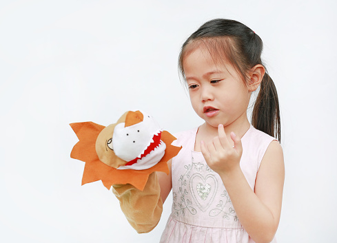 Adorable little Asian child girl hand wear and playing Lion puppets on white background. Educations concept.