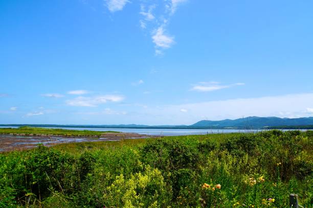 istock Landscape of Cape Kimuaneppu 1649898619
