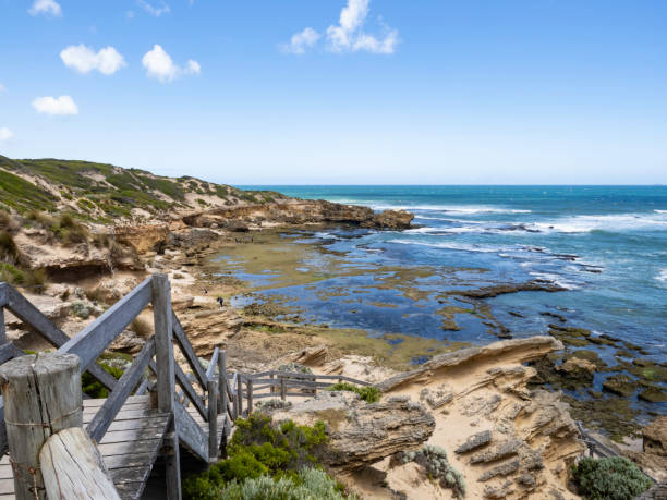 istock Timber stairs to beach 1649920702