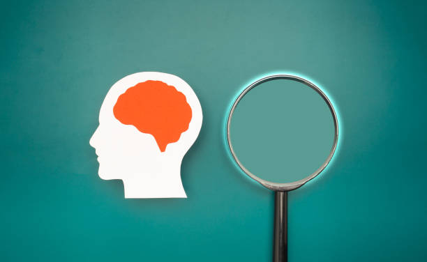 istock A brain shape made from paper and a magnifying glass on a green background 1649920750