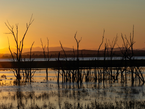 Sunset Winton Wetlands Victoria Australia