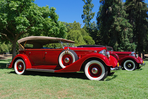 San Marino, California, United States: Packard Eight, two vehicles shown parked side by side on grass at Lacey Park.