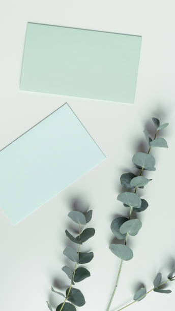 istock Blank green cards for text on table, Greeting or invitation paper texture empty card with eucalyptus branches. Flat lay in green colored, copy space, minimal life style Natural organic concept 1649923138