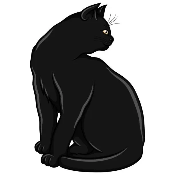 Vector illustration of Black cat cartoon vector design