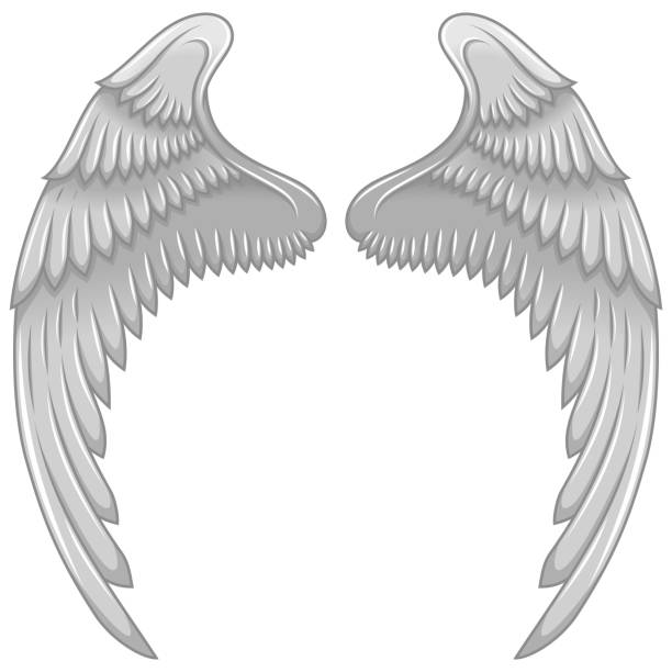 Angel wings vector design Vector design of angel wings, bird wings for decoration winged cherub stock illustrations