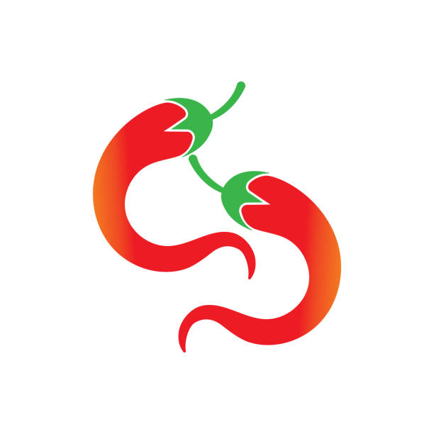 ilustrações, clipart, desenhos animados e ícones de símbolo quente de pimenta e ícone de vetor de logotipo - mexican flame leaf