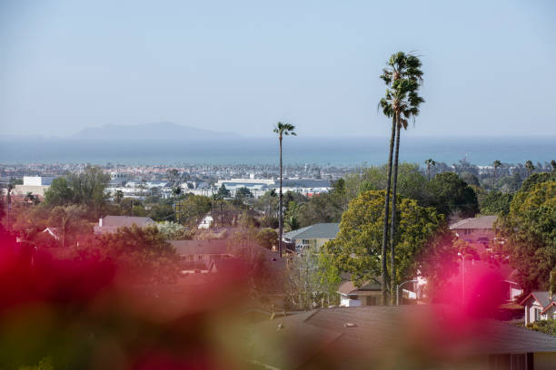 istock Ventura Palms and Ocean 1649937153