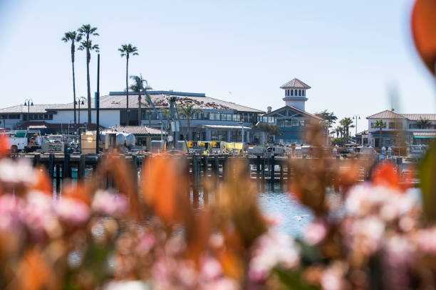 istock Ventura Harbor Marina 1649941001