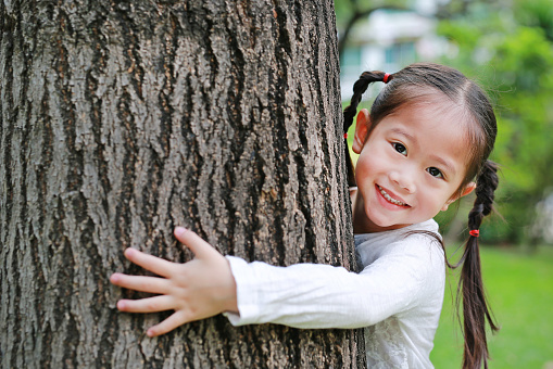 Happy little Asian child girl embracing a big tree in the garden.