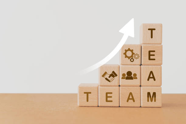 istock Human resource management, teamwork, brainstorming, unity of company,  corporation, smart teamwork for business organization, team text on wooden cube blocks including copy space 1649967396