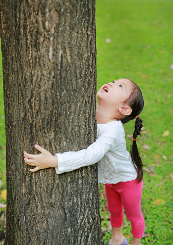 Adorable Asian girl hugging a tree with her arms around the trunk with looking eyes up at the garden.