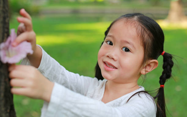 портрет азиатской девочки с подставкой для цветов возле дерева. - enfold стоковые фото и изображения