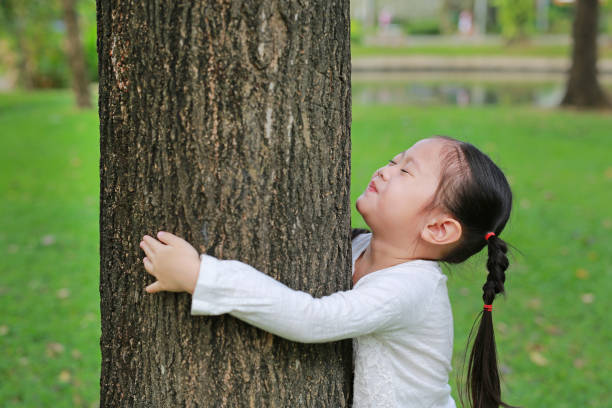 공원에서 트렁크에 팔을 두르고 나무를 껴안고 있는 어린 아시아 소녀. - enfold 뉴스 사진 이미지