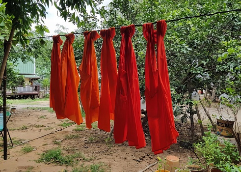 a photography of a bunch of red shirts hanging on a clothes line, sarongs hanging on a clothes line in a garden.
