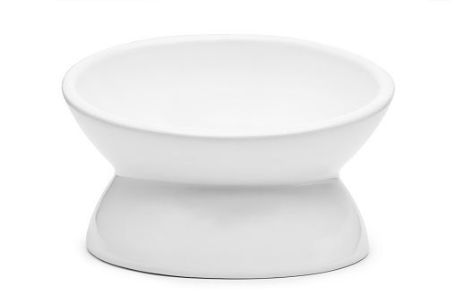 Empty ceramic bowl for pet food on white background