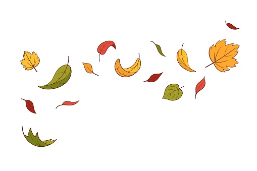 Leaves fall set in cartoon style, vector illustration. Wave cold air during windy weather. Maple leaf outline for print and design. Isolated color element on a white background. Autumn symbol nature
