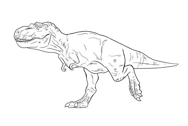 Vector illustration of T-rex Hand Drawn Illustration