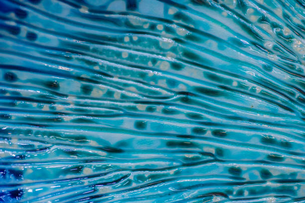 istock The pattern on the surface of ceramic pottery is bright and colorful. 1650070845