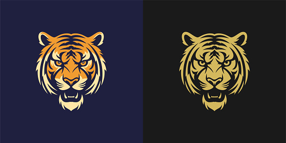 Angry roaring tiger portrait wild feline predator color and golden monochrome logo for t shirt print set vector flat illustration. Carnivorous jungle striped beast head mascot icon emblem