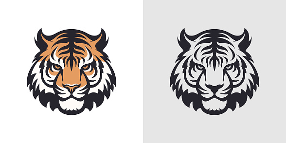 Strong tiger muzzle head color and black monochrome contour logo for t shirt print set vector flat illustration. Power carnivorous wild predator animal jungle habitat nature hunting icon emblem