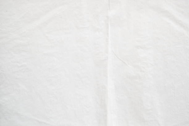 istock simple tissue paper, white paper with slight creases and structure as a background. 1650117862