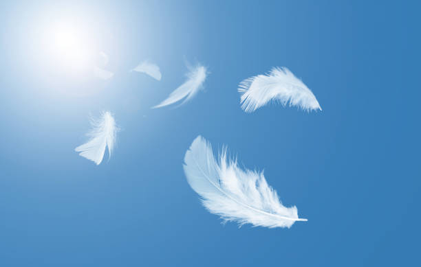 istock Abstract White Bird Feathers Floating in A Blue Sky. Freedom, Feather Softness, Falling White Feathers. 1650121716