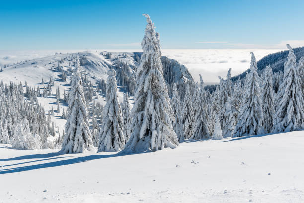 istock Frozen Winter scene in the mountains 1650140858