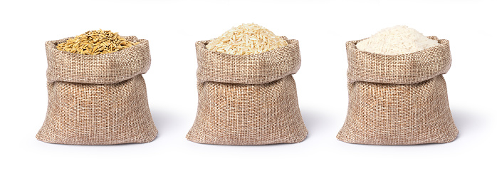 Various types of rice ; paddy ,brown coarse rice and white  jasmine rice in hemp sack bag isolated on white background.