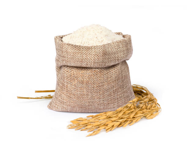 White rice in sack bag and ears of paddy isolated on white White rice in sack bag and ears of paddy isolated on white background. jasmine rice stock pictures, royalty-free photos & images