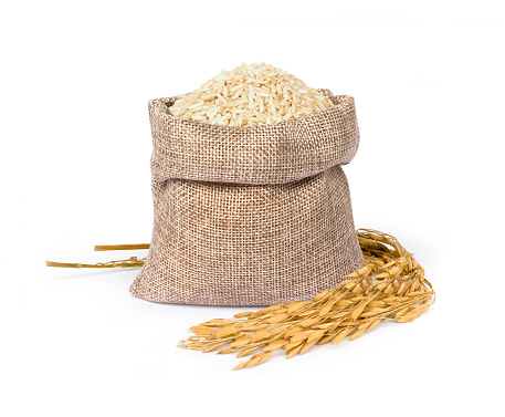 Brown rice in sack bag and ears of paddy isolated on white background.