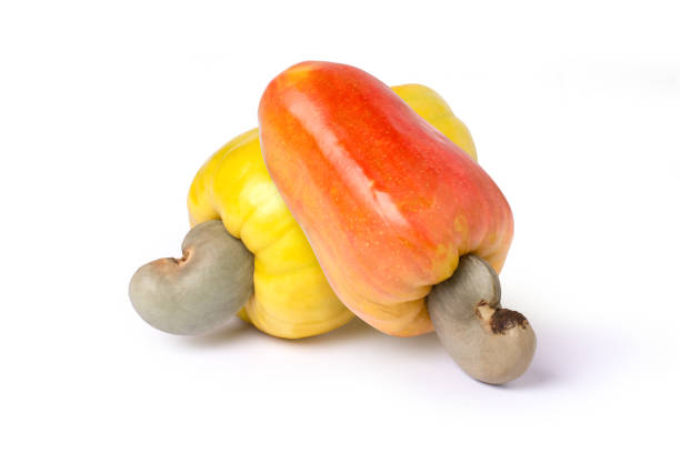 istock Red and yellow cashew fruit 1650143614