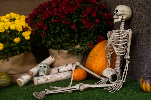 Scenery for Halloween in October. Decoration in the yard. The owner of the house skeletons.