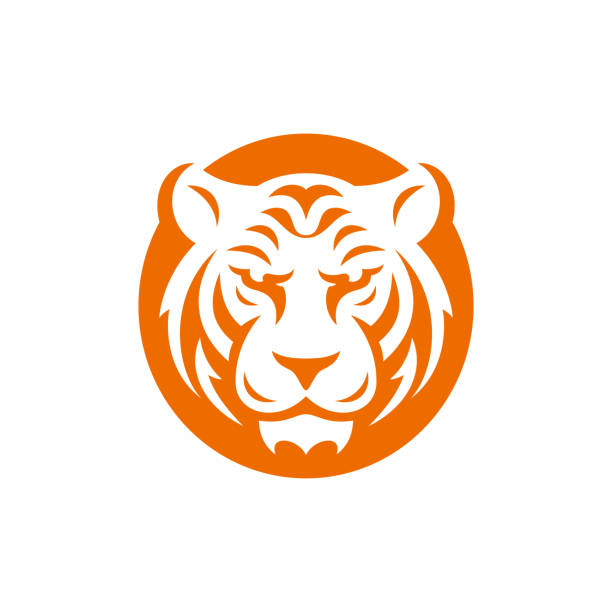 wütender tigerkopf orangefarbener kreis monochrome minimalistische flache vektorillustration - carnivore stock-grafiken, -clipart, -cartoons und -symbole