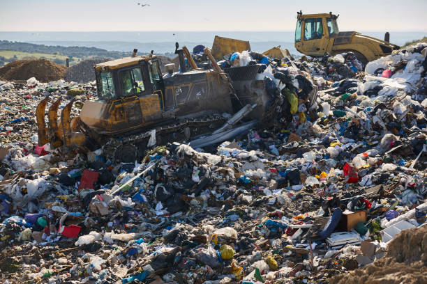 istock Heavy machinery shredding garbage in an open air landfill. Pollution 1650166620