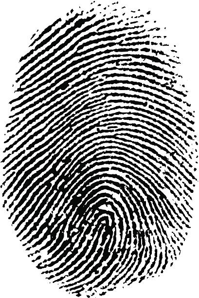 Thumb Print Vector Thumb Print. fingerprint stock illustrations
