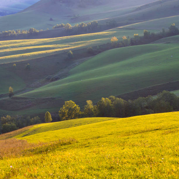 istock Hills and fields in early autumn, rural 1650254320