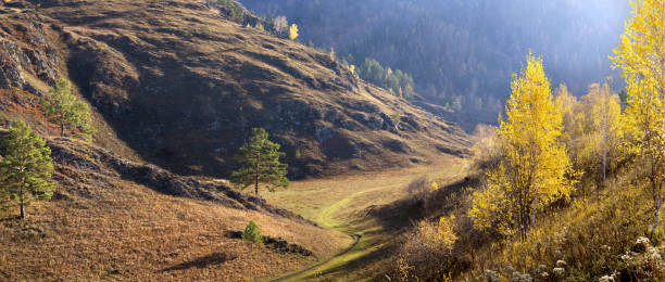 istock Mountain valley in the morning light, autumn 1650254340