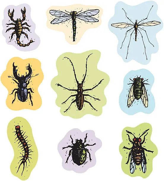 Vector illustration of Insects and Arachnids 2