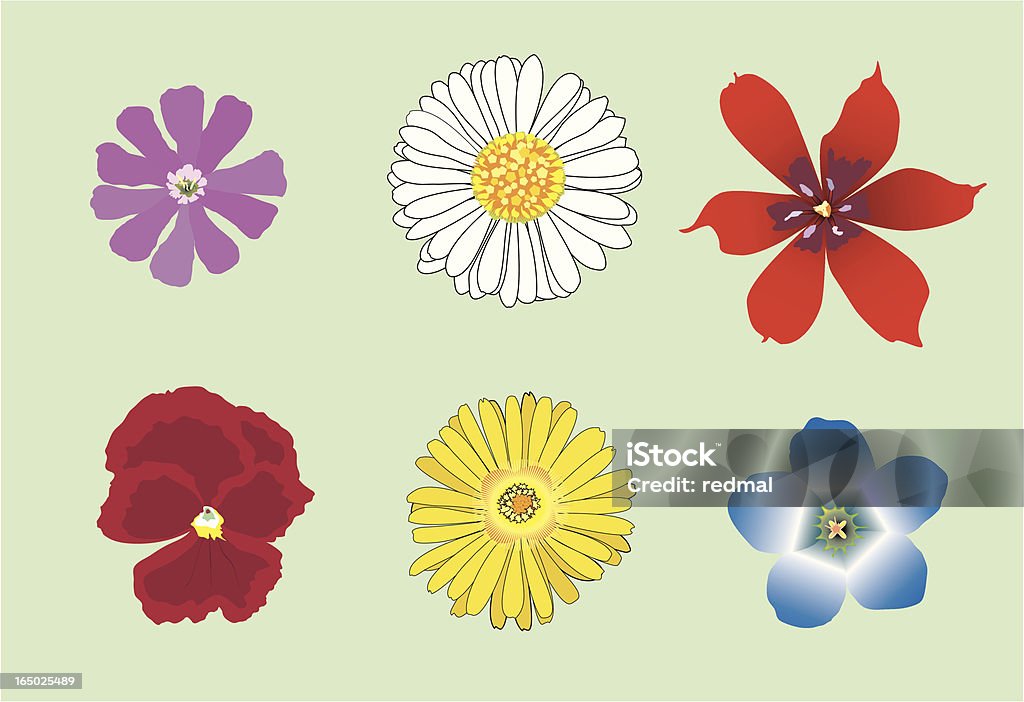 six vecteur de fleurs - clipart vectoriel de Beauté de la nature libre de droits