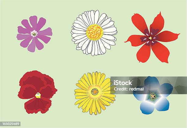 Six Vecteur De Fleurs Vecteurs libres de droits et plus d'images vectorielles de Beauté de la nature - Beauté de la nature, Blanc, Bleu