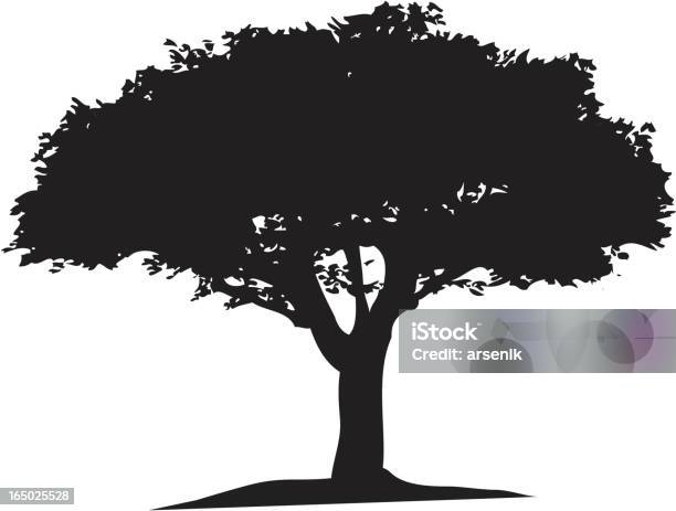 Tree Stock Illustration - Download Image Now - Black Color, Branch - Plant Part, Clip Art