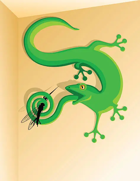 Vector illustration of Gecko caught a mosquito