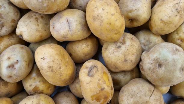 istock Fresh organic whole potatoes. 1650259190