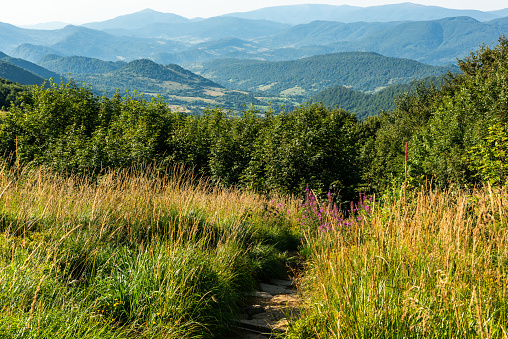 Trekking trial trough wilderness and scenic nature at summer in Bieszczady Mountains, Carpathians, Poland.