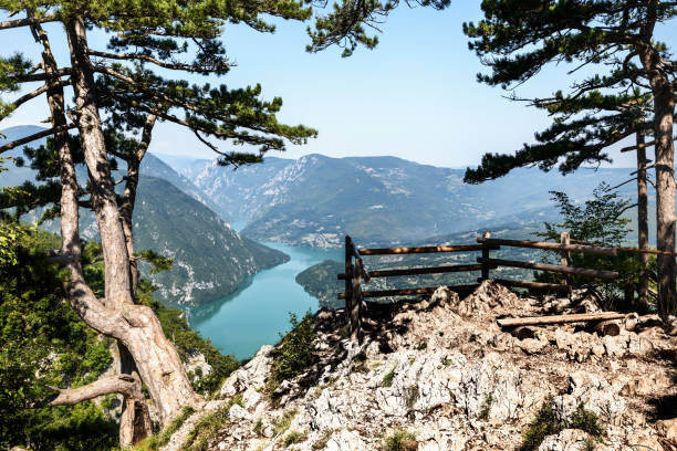 nationalpark tara-gebirge, serbien. aussichtspunkt banjska stena - serbia stock-fotos und bilder