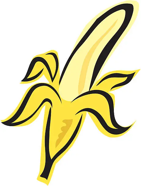 Vector illustration of Banana