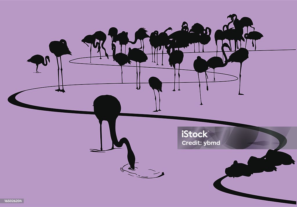 Flamingi na brzegu sylwetka Wektor & (.jpg - Grafika wektorowa royalty-free (Brzeg wody)